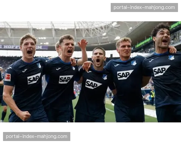 霍芬海姆主场力克多特蒙德 终结大黄蜂联赛两连胜势头